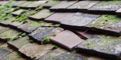Pumsaint roof repair costs